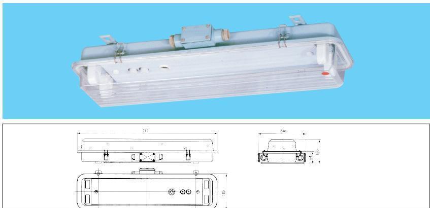 产品服务 厂家直销 优质2x40w船用防水荧光舱顶灯jcy46-2ef 验配套的